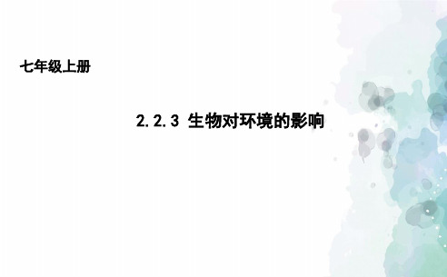 苏科版生物-七年级上册 2.2.3生物对环境的影响课件