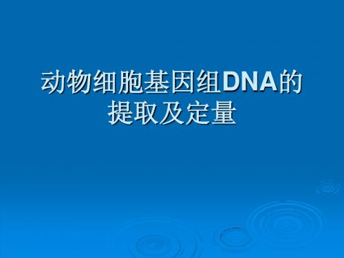 6动物组织细胞基因组DNA的提取和定量