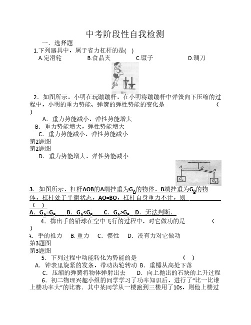 中考阶段性自我检测