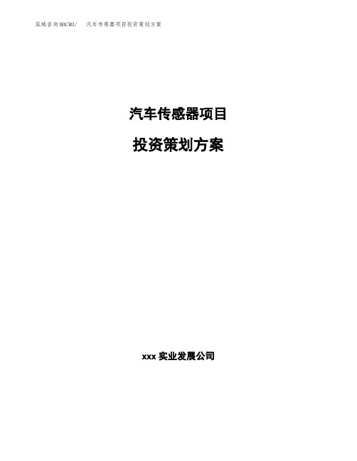 汽车传感器项目投资策划方案范文