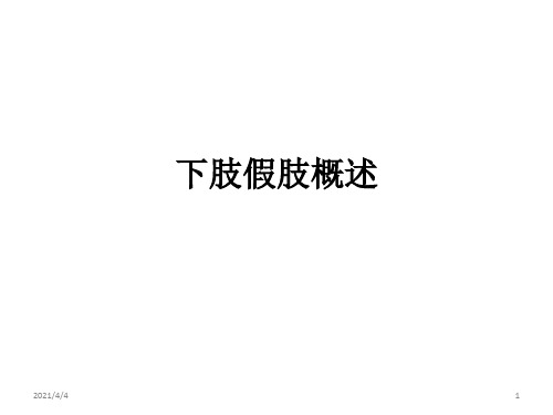 下肢假肢概述