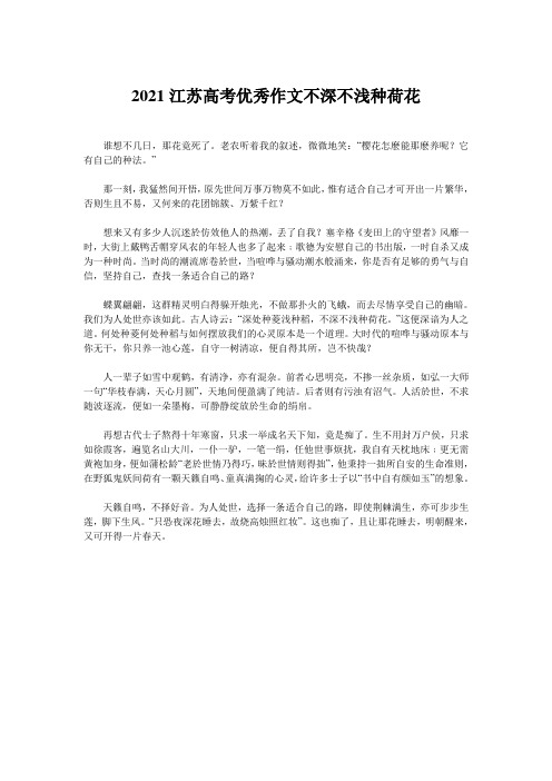 2021江苏高考优秀作文不深不浅种荷花