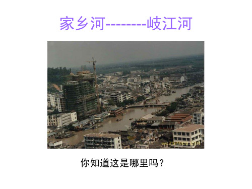 六年级综合--家乡河(岐江河)