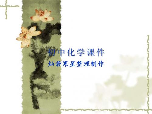 九年级化学复习：离子