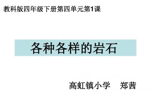 四下四1各种各样的岩石(1)