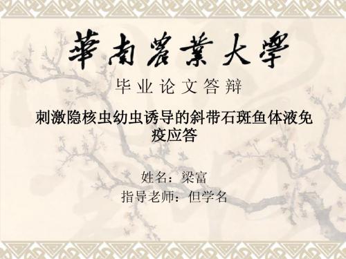 刺激隐核虫幼虫诱导斜带石斑鱼的体液免疫应答