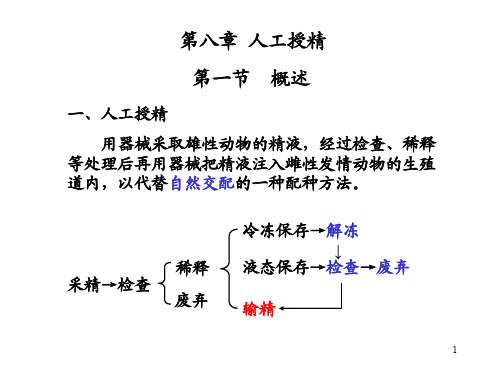 8-人工授精-9-繁殖控制-复习提要