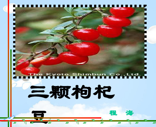 初中语文(苏教版)七年级-2.7《三颗枸杞豆》课件(共31张PPT)