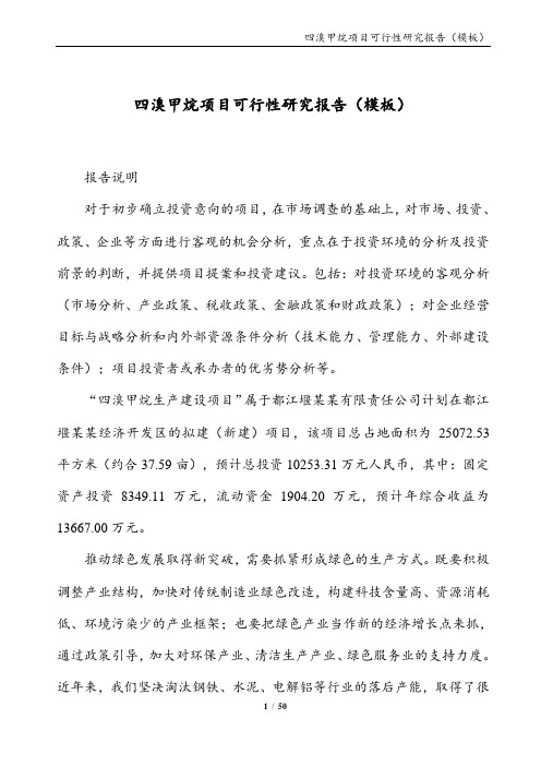 四溴甲烷项目可行性研究报告(模板)