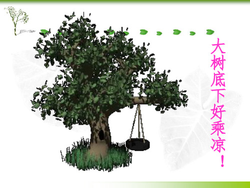 植物的蒸腾作用复习PPT课件