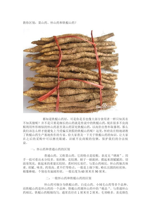 铁棍山药