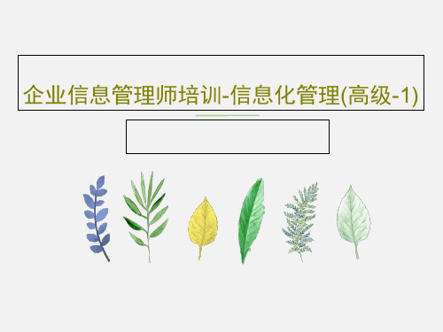企业信息管理师培训-信息化管理(高级-1)58页PPT