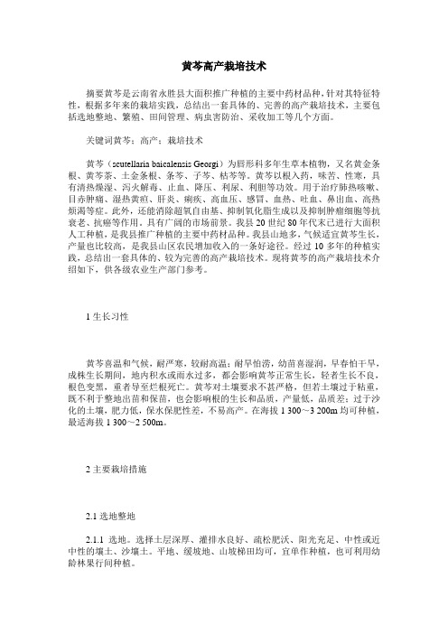 黄芩高产栽培技术