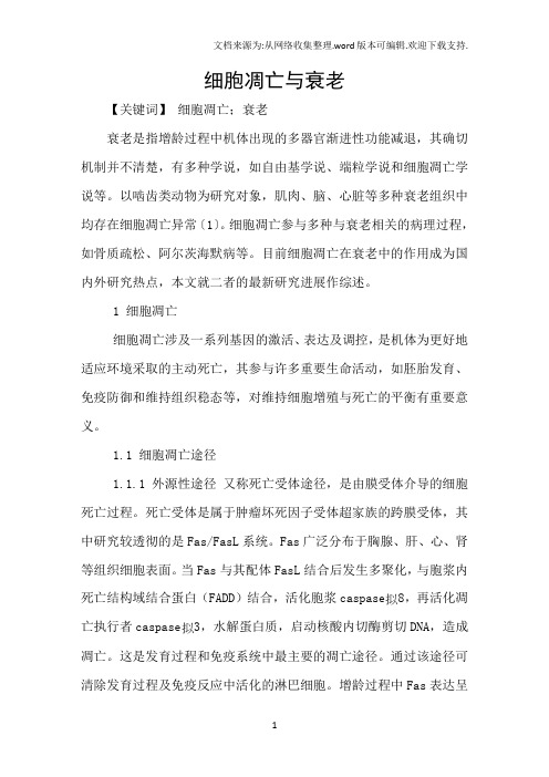 细胞凋亡与衰老