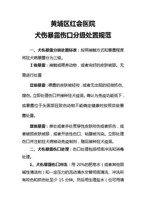 犬伤暴露处置规范