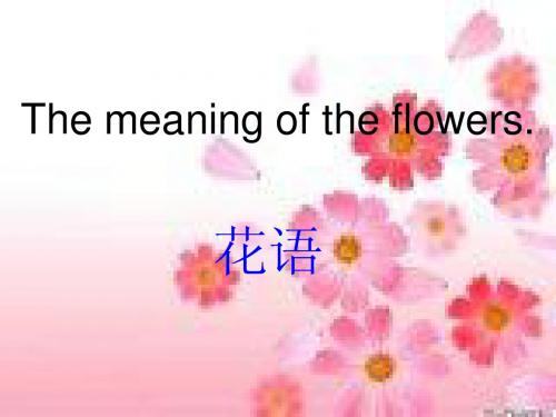 英语_花语ppt