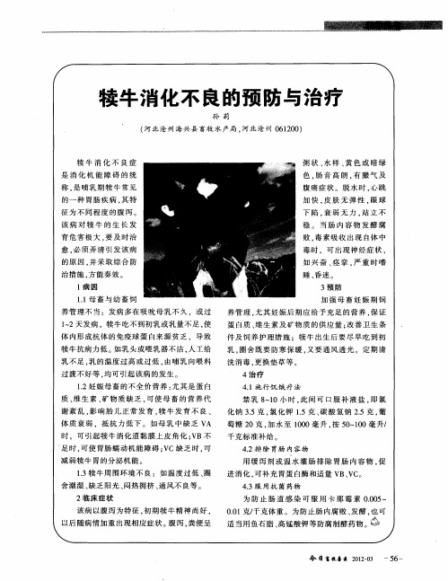 犊牛消化不良的预防与治疗