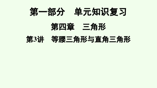 2021年广东省深圳市数学中考专题复习课件 等腰三角形与直角三角形