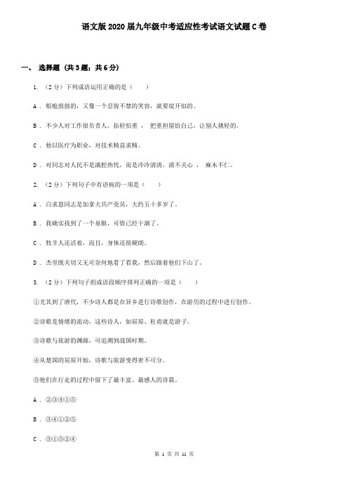 语文版2020届九年级中考适应性考试语文试题C卷