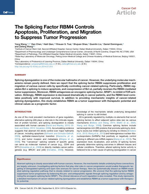 The Splicing Factor RBM4 Controls
