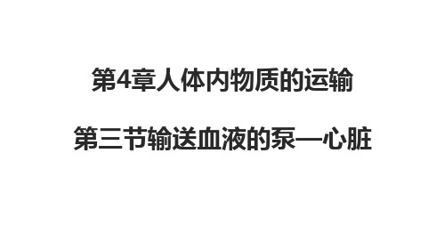人教版七年级生物下册 4.4.3输送血液的泵—心脏 课件(共24张PPT)