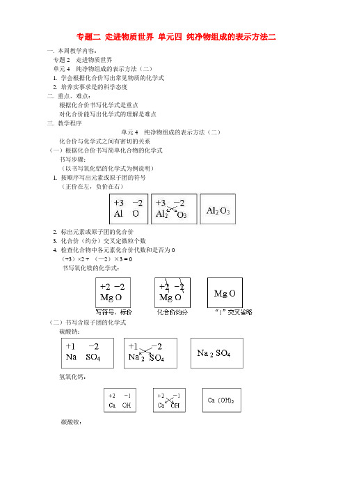 专题二 走进物质世界 单元四 纯净物组成的表示方法二 湘教版