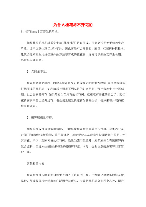 为什么桂花树不开花的