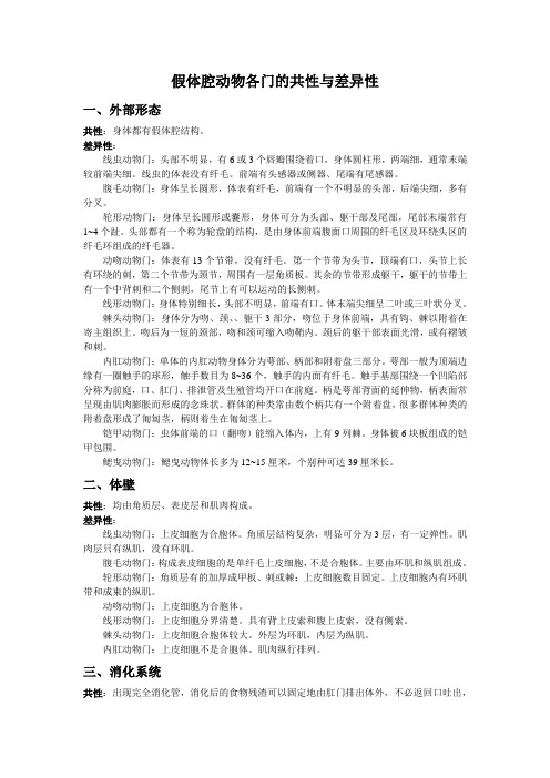 假体腔动物各门的共性与差异性