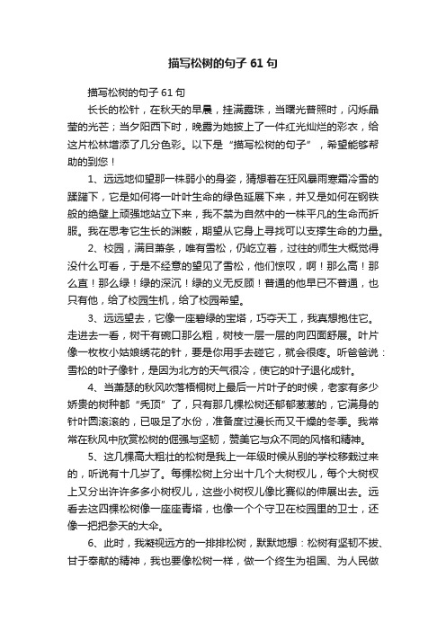 描写松树的句子61句