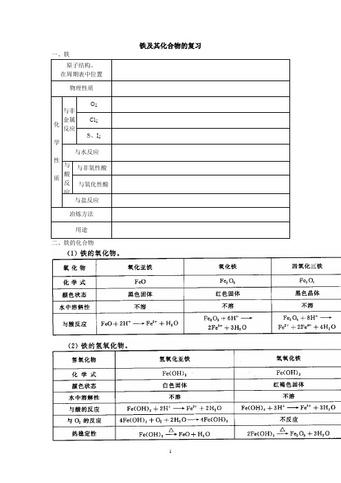 铁及其化合物(复习)