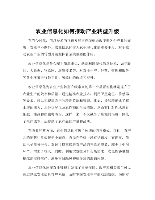 农业信息化如何推动产业转型升级