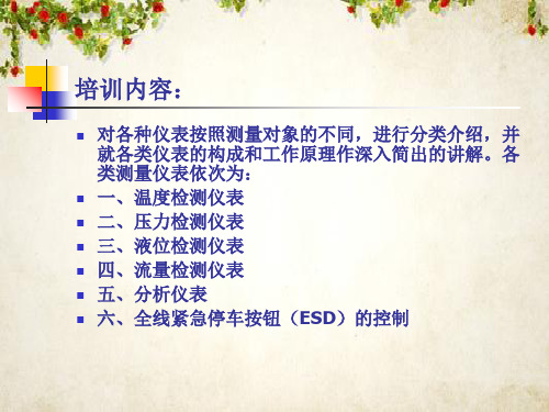 自动化仪表培训(ppt 41页)