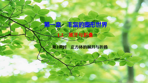 七年级数学 第一章 丰富的图形世界1.2 展开与折叠第1课时 正方体的展开与折叠作业
