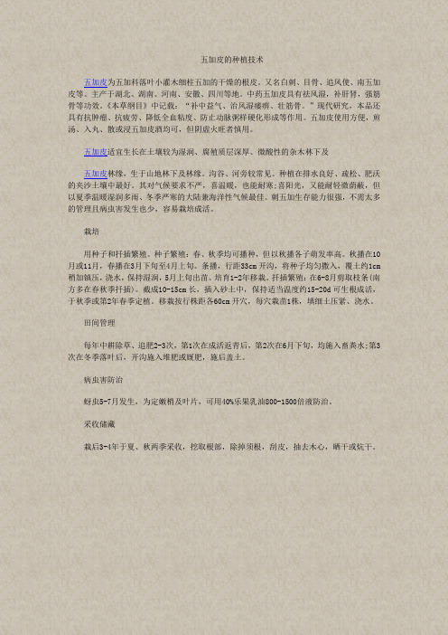 五加皮的种植技术