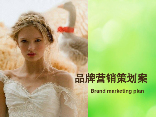 欧时力品牌营销策划案(ppt 38页)