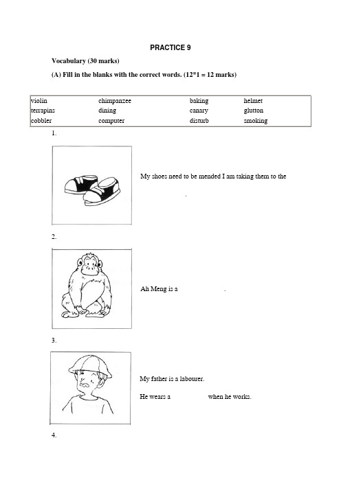 新加坡小学一年级英语试及答案PRACTICE 9
