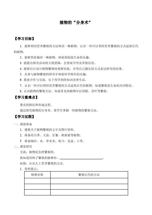 五年级下册科学学案14 植物的“分身术”青岛版