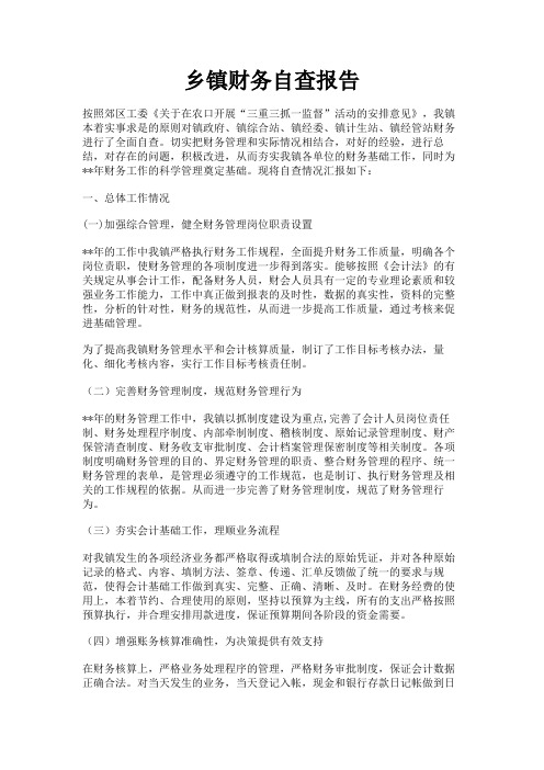 最新 乡镇财务自查报告-精品