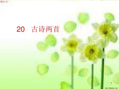 苏教版六年级语文下册20古诗两首(1)