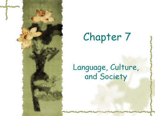 7.8.language,culture_and_society  简明英语语言学 戴炜栋