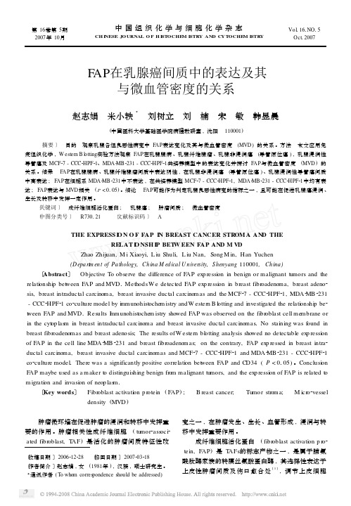 FAP在乳腺癌间质中的表达及其与微血管密度的关系