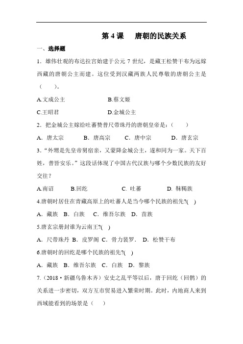 唐朝的民族关系同步练习