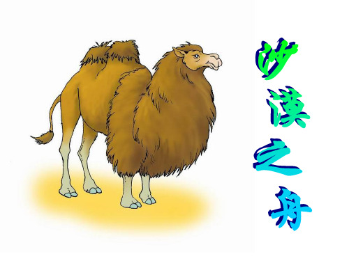 沙漠之舟PPT课件