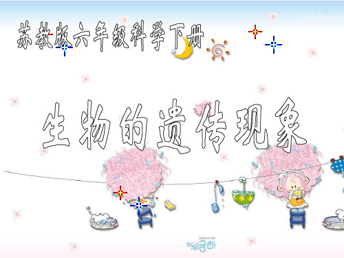 苏教版小学科学六年级下册《生物的遗传现象》