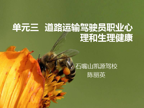 单元三道路运输驾驶员职业心理和生理健康