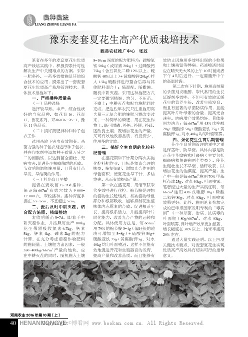 豫东麦套夏花生高产优质栽培技术  