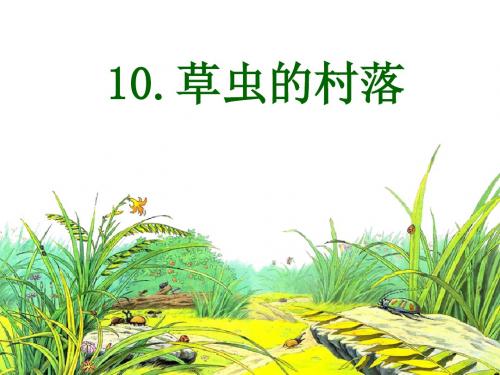 10《草虫的村落》ppt课件