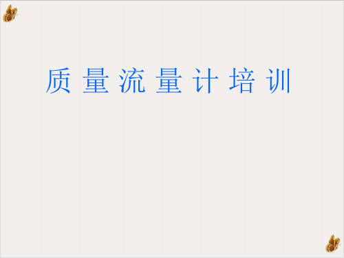 质量流量计ppt演示课件(42页)