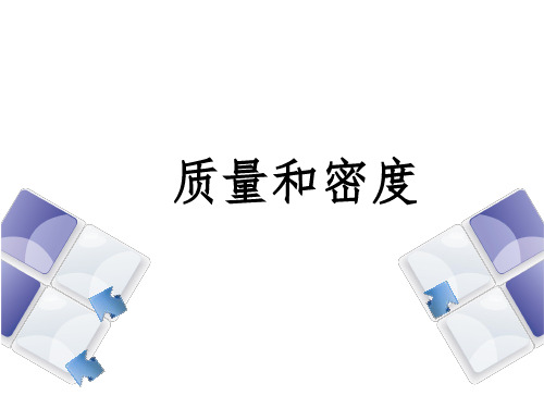 新人教版物理中考复习第六章质量与密度复习课件