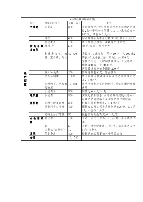 公益项目经费预算